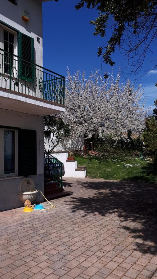 Ferienwohnung Il Ciliegio Del Pellegrino Gubbio Exterior foto